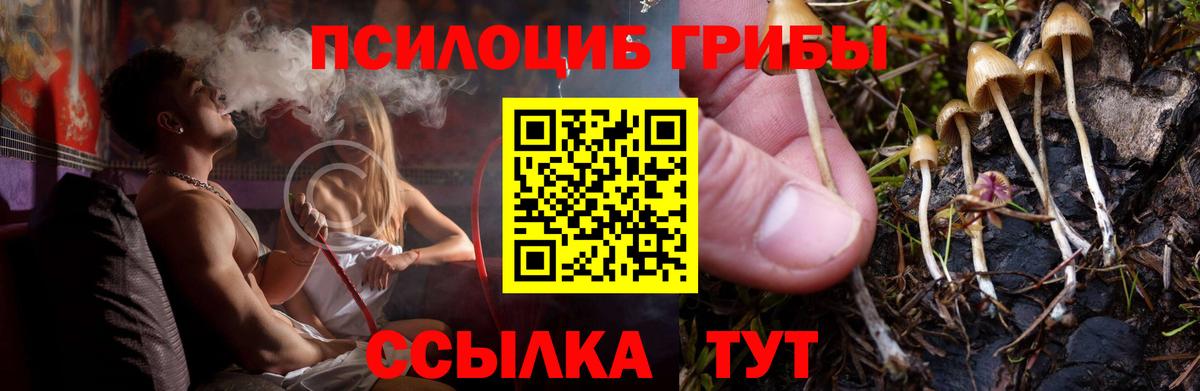 Галлюциногенные грибы MAGIC MUSHROOMS Кыштым