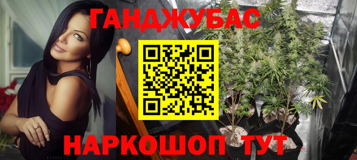 Бошки Шишки планчик Кыштым